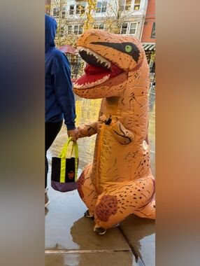 Spirit Inflatable Dino Costume - Sz 4-10